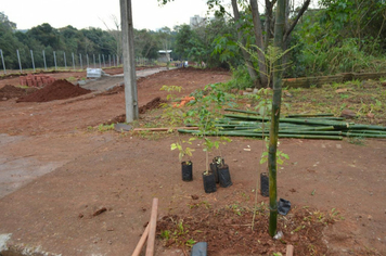 Foto - Ação escoteiros - Parque da Pedreira