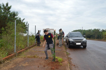 Foto - Ação escoteiros - Parque da Pedreira