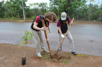 Foto - Ação escoteiros - Parque da Pedreira