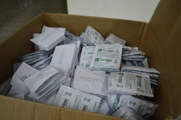 Foto - Bairro total Mundstock