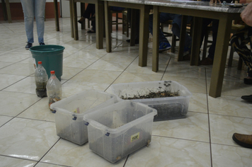 Foto - Bairro total Mundstock