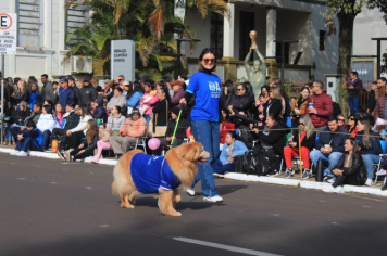 Foto - Desfile Cívico-Militar de Ijuí 2025