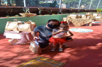 Foto - Escola Municipal Infantil Alvorada promove projetos para amenizar a saudade