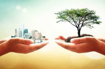 Mês do Meio Ambiente!