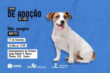 Feira de Adoção