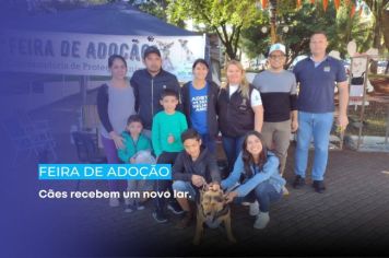 Feira de adoção