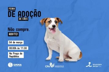 Sábado tem nova feira de adoção em Ijuí