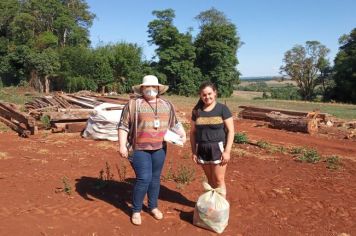 Pingo de Esperança!