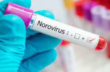 Negativo para Norovírus!