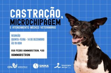 Reunião sobre microchipagem acontece quinta, no Hammarstron