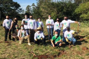 Meio Ambiente em Números!