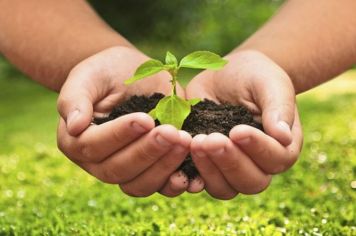 Desenvolvimento Rural em Números!