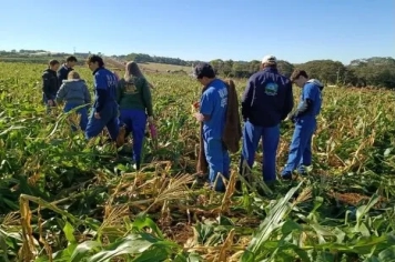 Estudantes do Curso Técnico em Agropecuária do Imeab realizam aula prática de avaliação de lavoura