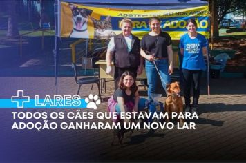 Todos os cães que estavam para adoção ganharam um novo lar