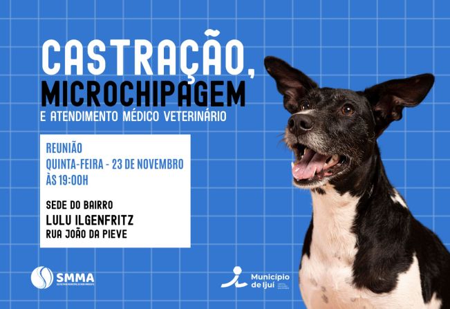 Castração e Microchipagem: Reunião acontece no bairro Lulu Ilgenfritz