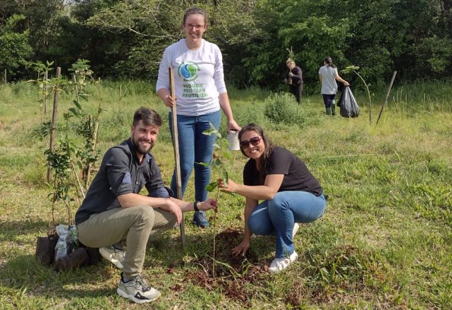 Plantando árvores!