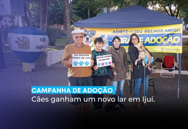 Campanha de Adoção
