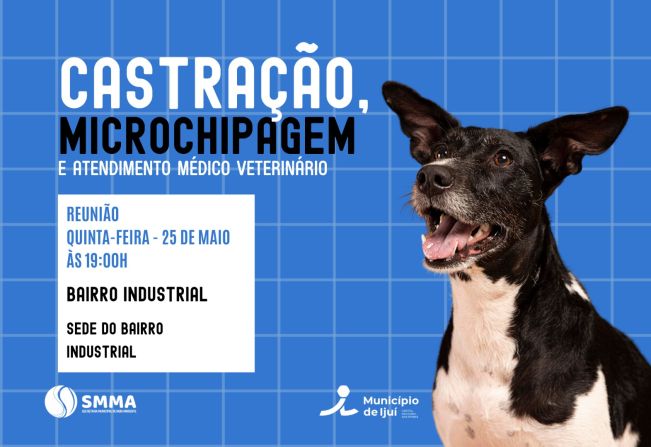 Castração e Microchipagem