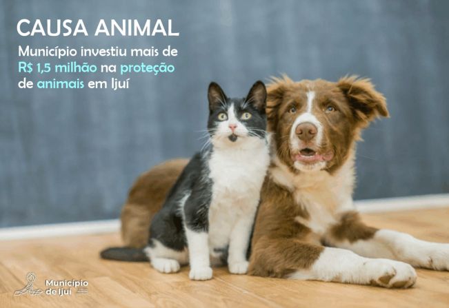 R$ 1,5 milhão já foram investidos na causa animal em Ijuí