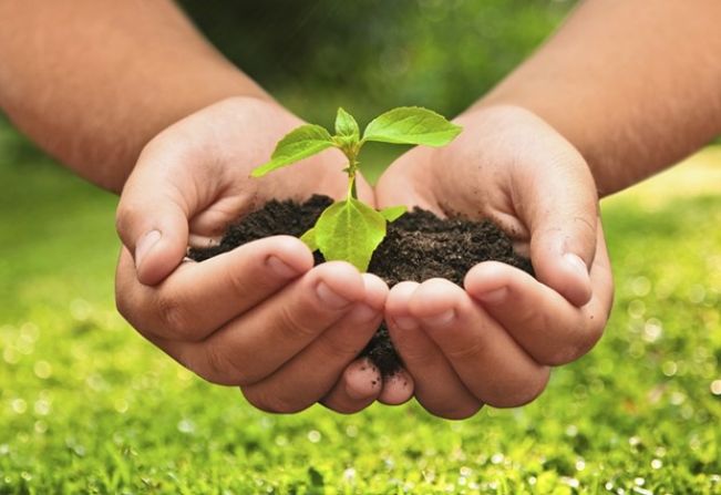 Desenvolvimento Rural em Números!