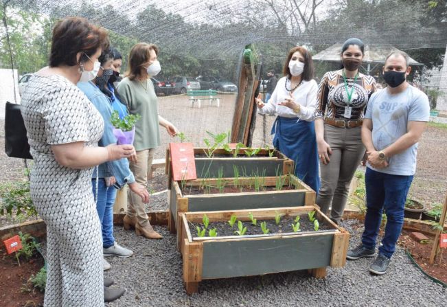 A Caps AD revitaliza Hortoterapia!