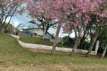 Deixando tudo limpo!