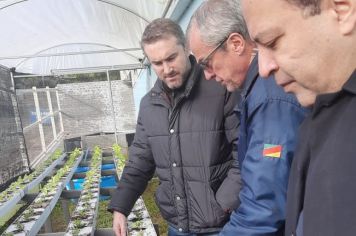 Estufa e Composteira!