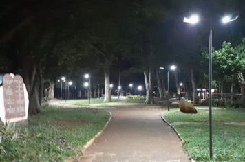 Bem feito!