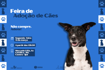 Feira de Adoção de Cães Acontece na próxima segunda-feira