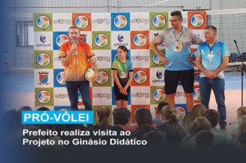 Pró-Vôlei