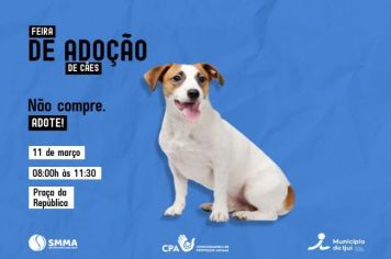 Feira de Adoção de Cães acontece no sábado, 11