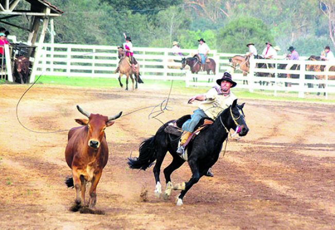 Rodeio!