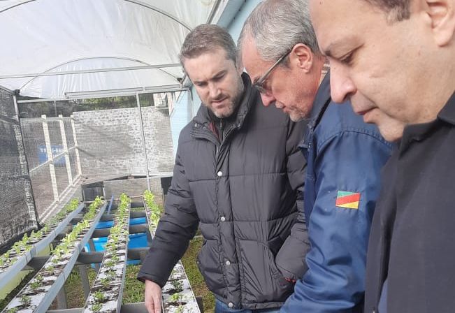 Estufa e Composteira!